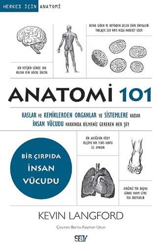 Anatomi 101