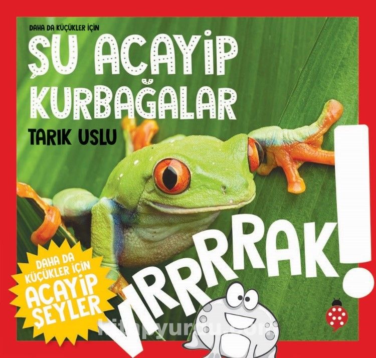 Daha da Küçükler İçin Şu Acayip Kurbağalar