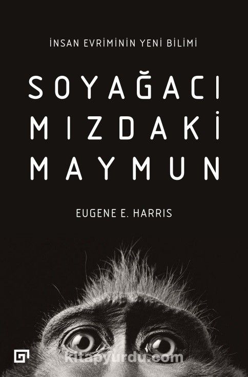 Soyağacımızdaki Maymun: İnsan Evriminin Yeni Bilimi