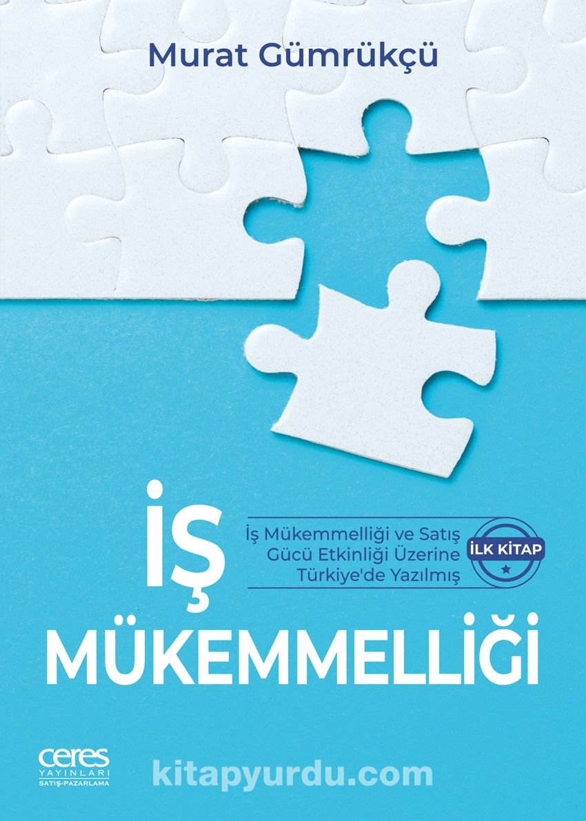 İş Mükemmelliği & İş Mükemmelliği ve Satış Gücü Etkinliği Üzerine Türkiye’de Yazılmış İlk Kitap