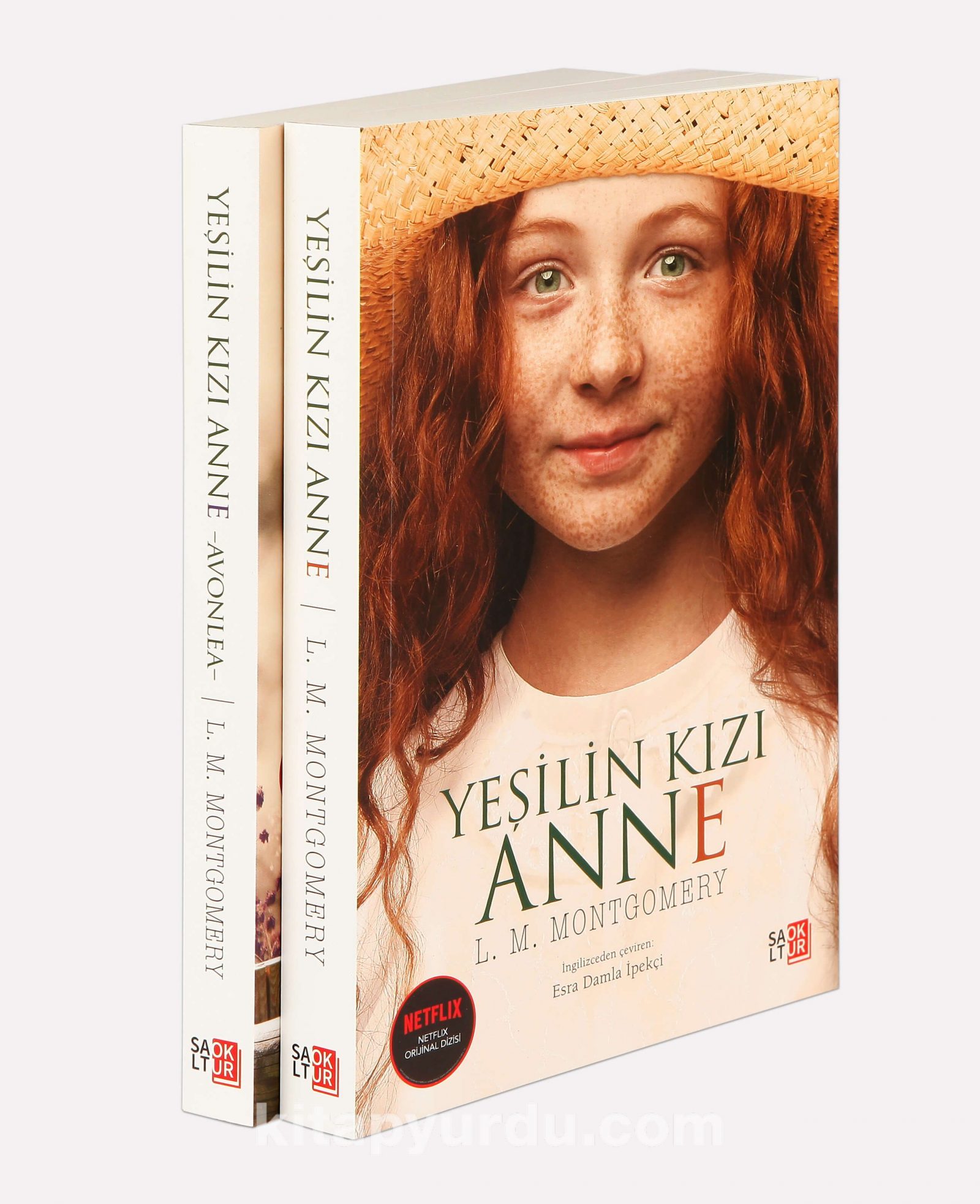 Yeşilin Kızı Anne Seti (2 Kitap)