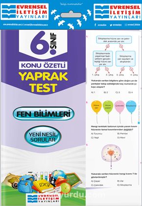 6. Sınıf Fen Bilimleri Konu Özetli Yaprak Test