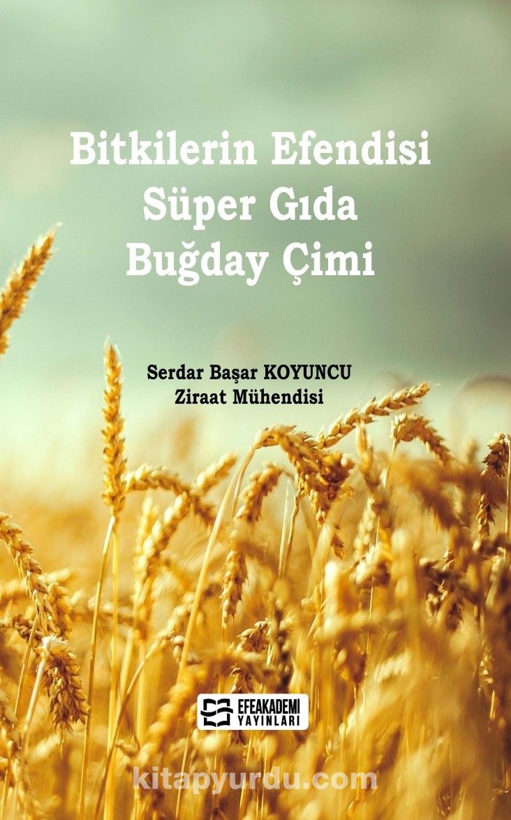 Bitkilerin Efendisi Süper Gida Buğday Çimi