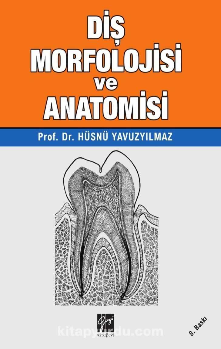 Diş Morfolojisi ve Anatomisi