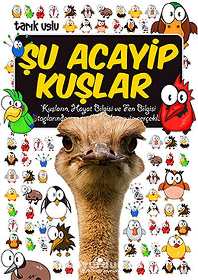 Şu Acayip Kuşlar