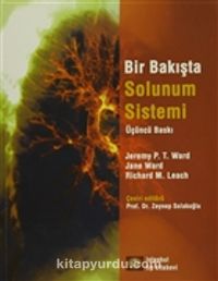 Bir Bakışta Solunum Sistemi