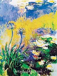 Les Agapanthes / Claude Monet (MCL 00-60x80) (Çerçevesiz)
