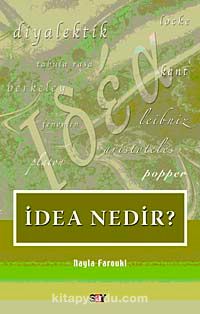 İdea Nedir?