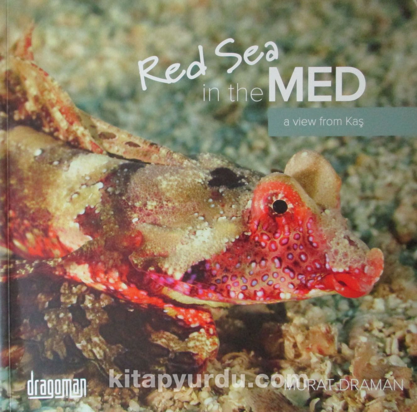 Red Sea in the Med