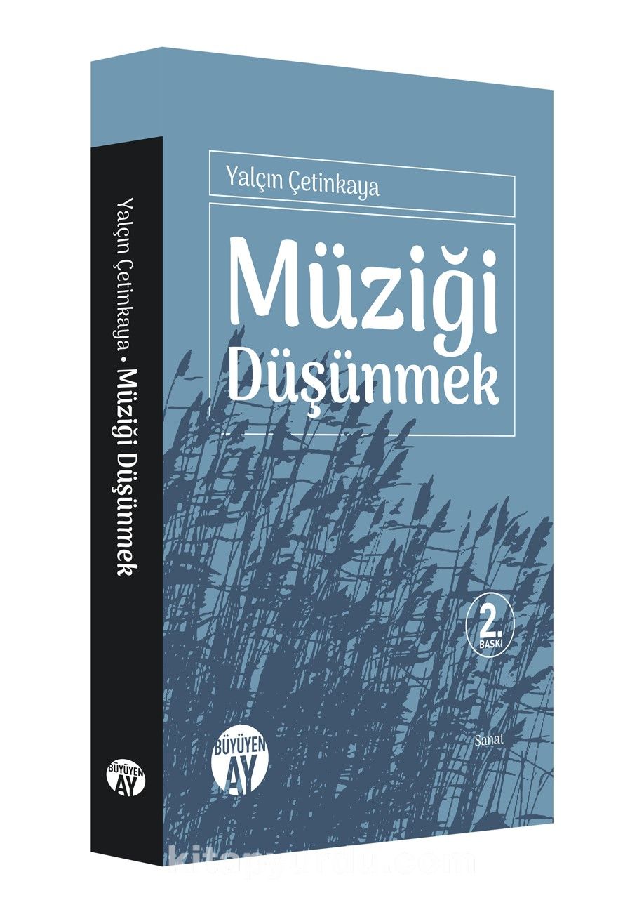 Müziği Düşünmek