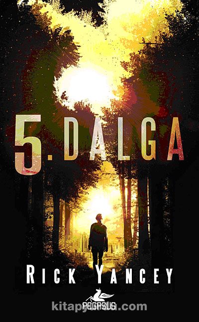 5. Dalga