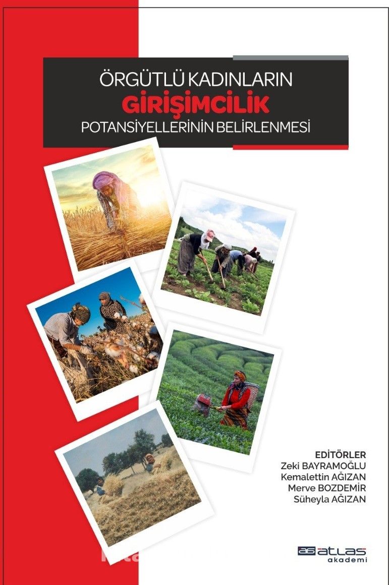 Örgütlü Kadınların Girişimcilik Potansiyellerinin Belirlenmesi