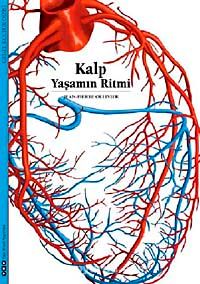 Kalp & Yaşamın Ritmi