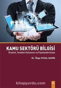 Kamu Sektörü Bilgisi & Üretimi, Yeniden Kullanımı ve Fiyatlandırılması