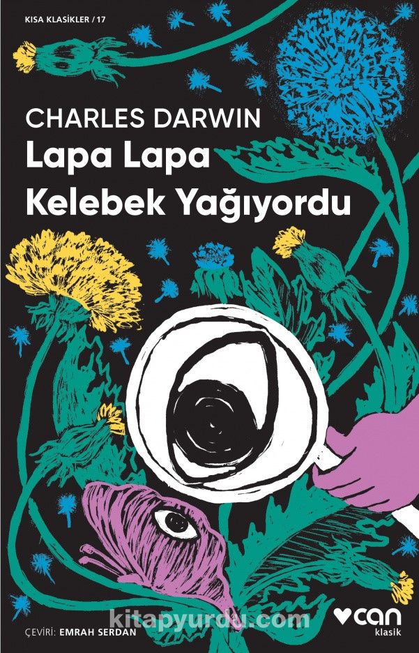 Lapa Lapa Kelebek Yağıyordu (Kısa Klasik)