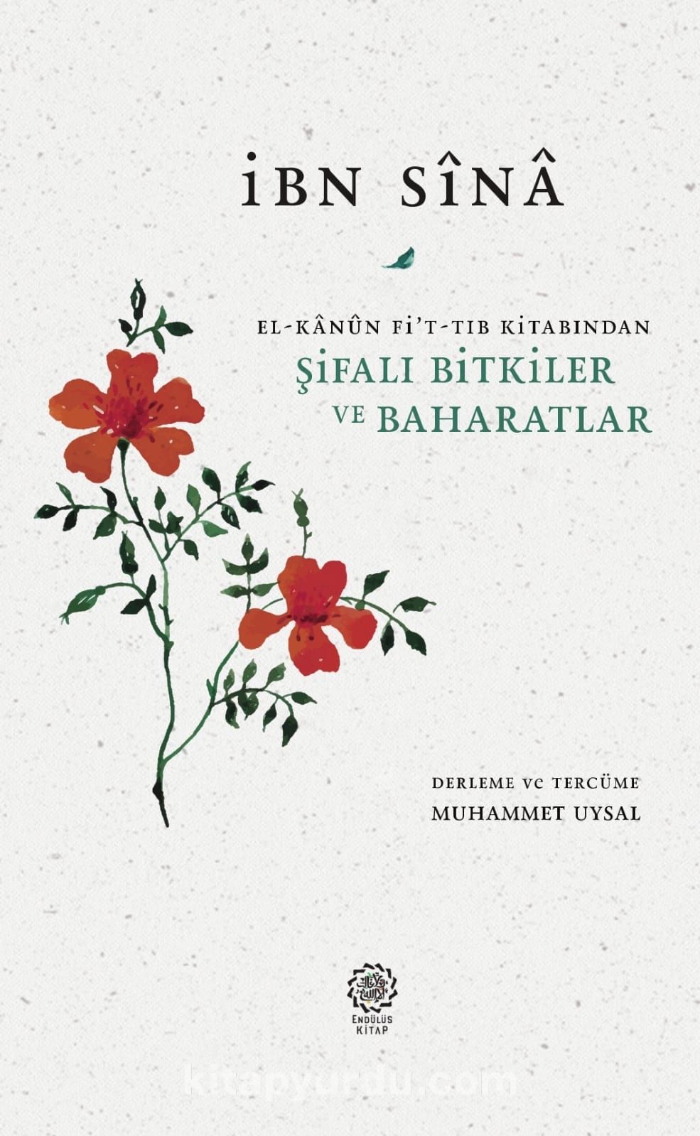 Şifalı Bitkiler ve Baharatlar (El-Kanun Fi’t-Tıb Kitabından)