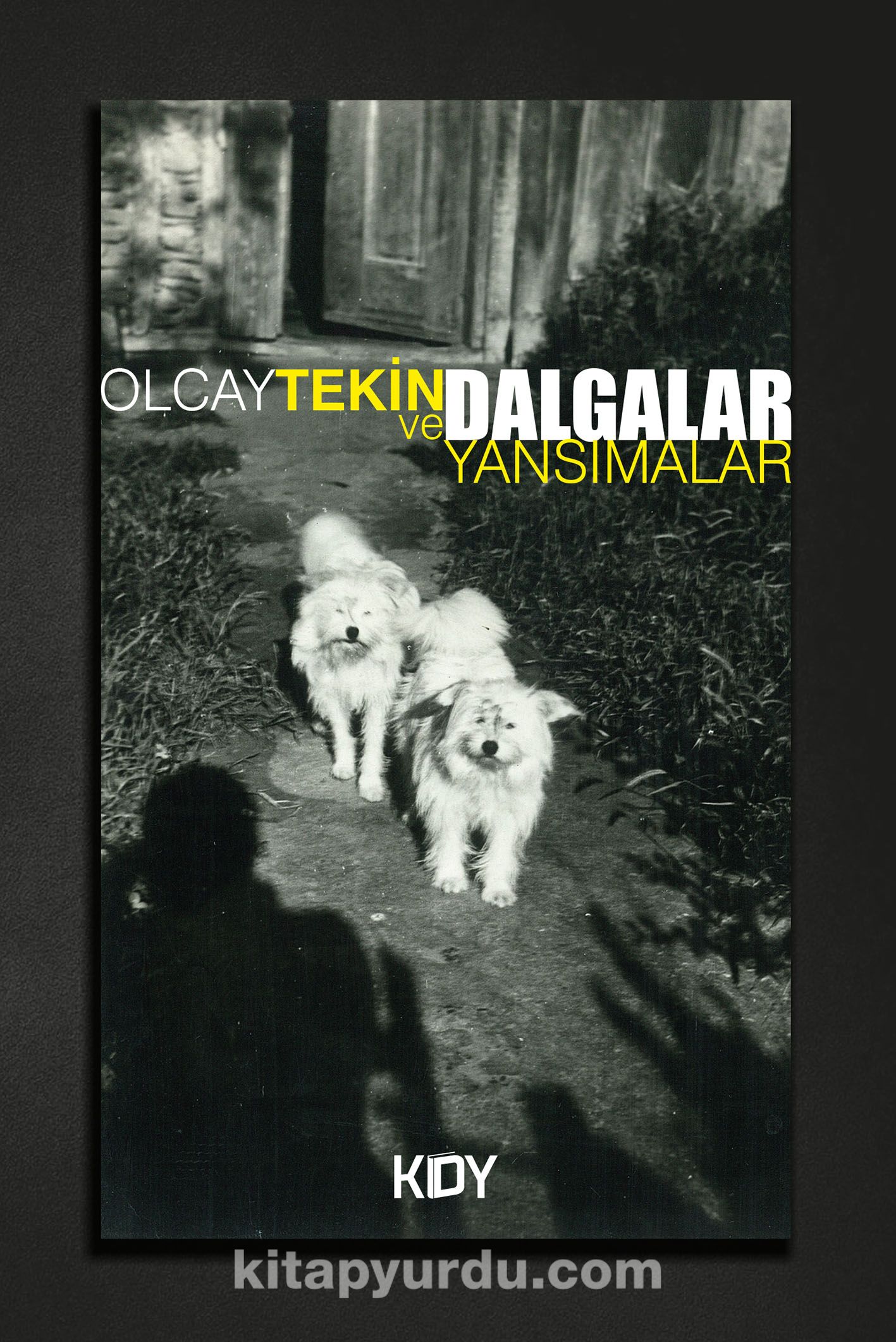 Dalgalar ve Yansımalar