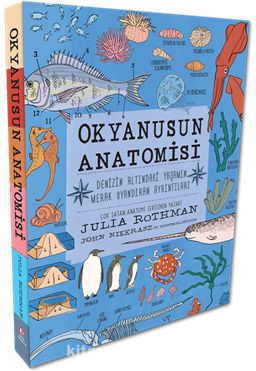 Okyanusun Anatomisi