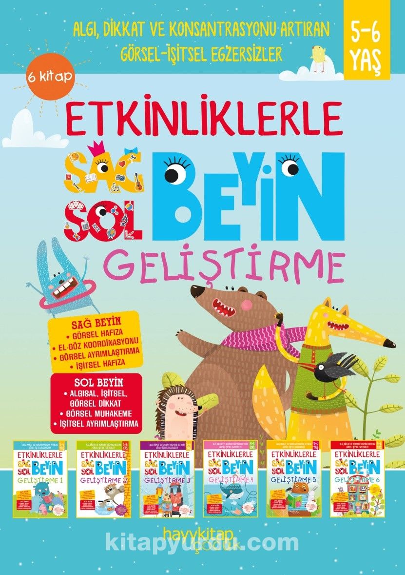 Etkinliklerle Sağ Beyin Sol Beyin Geliştirme (5-6 Yaş) 6’lı Set