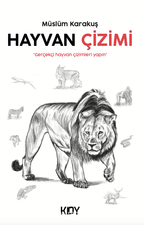 Hayvan Çizimi