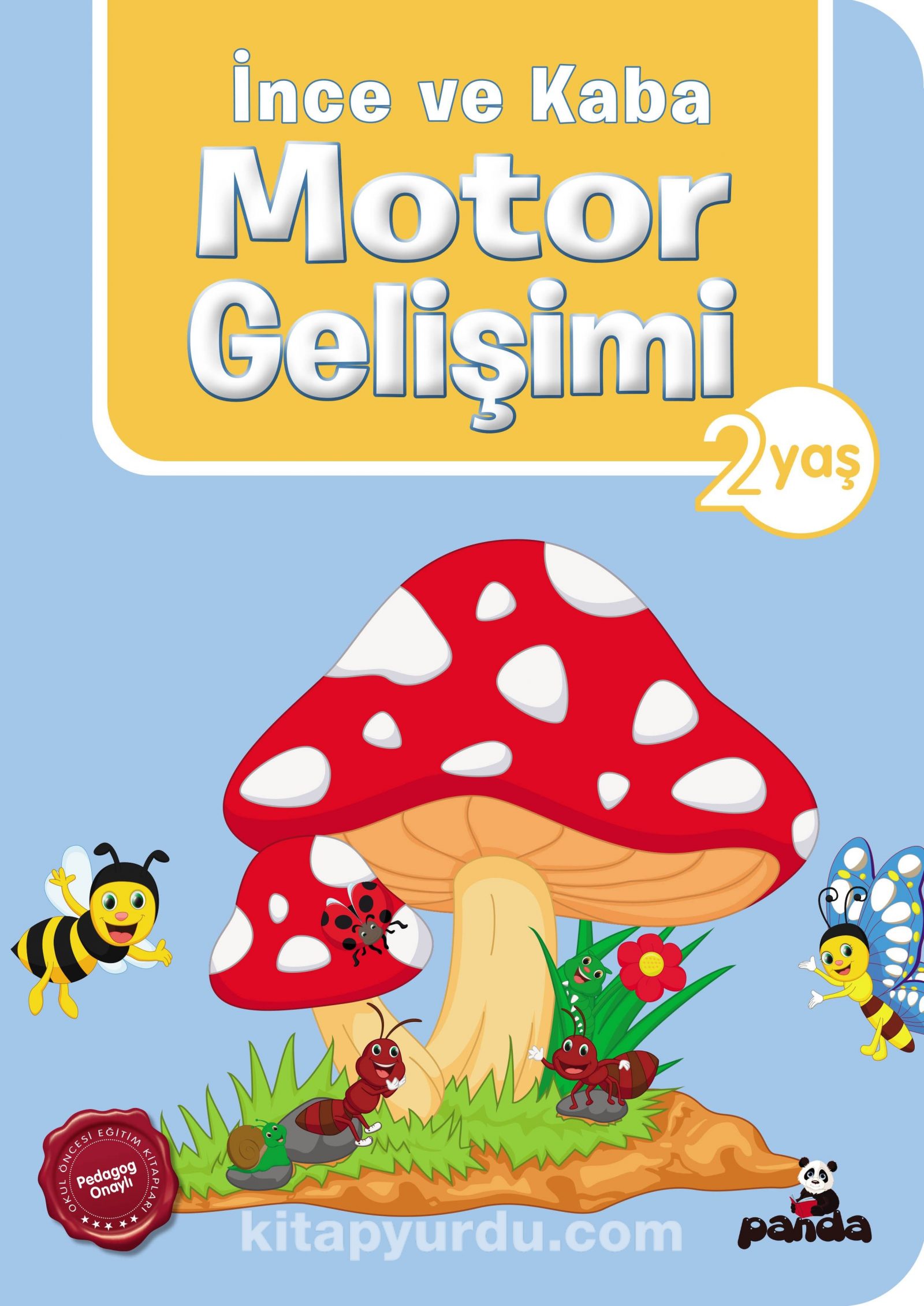 İnce ve Kaba Motor Gelişimi (2 Yaş)