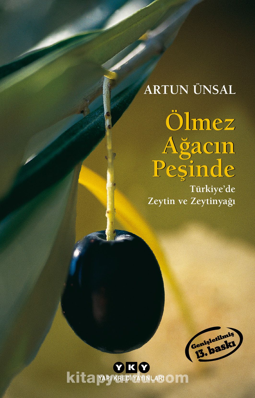 Ölmez Ağacın Peşinde Türkiye'de Zeytin ve Zeytinağacı (Küçük Boy) Genişletilmiş Baskı