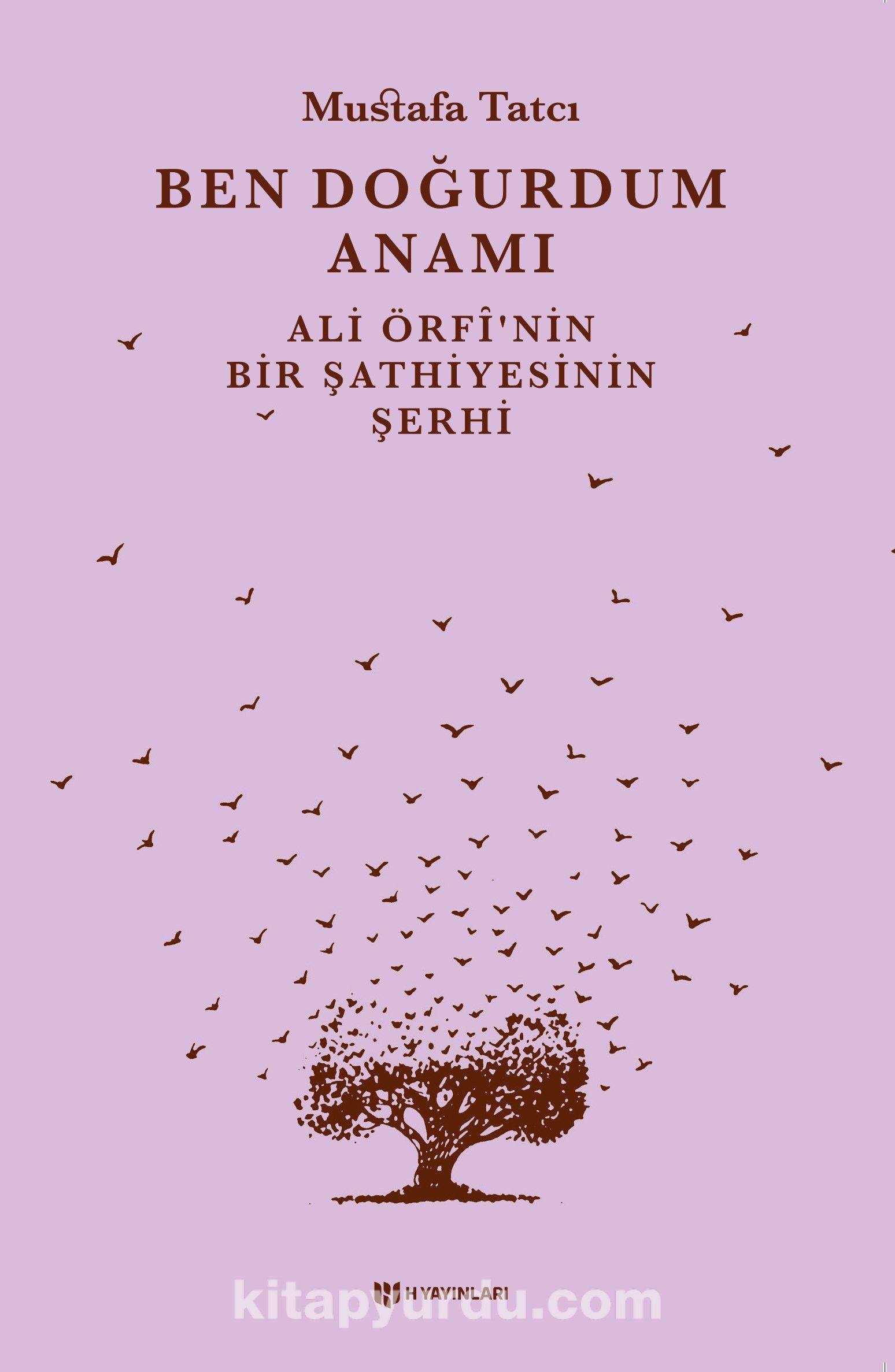 Ben Doğurdum Anamı & Ali Örfi’nin Bir Şathiyesinin Şerhi