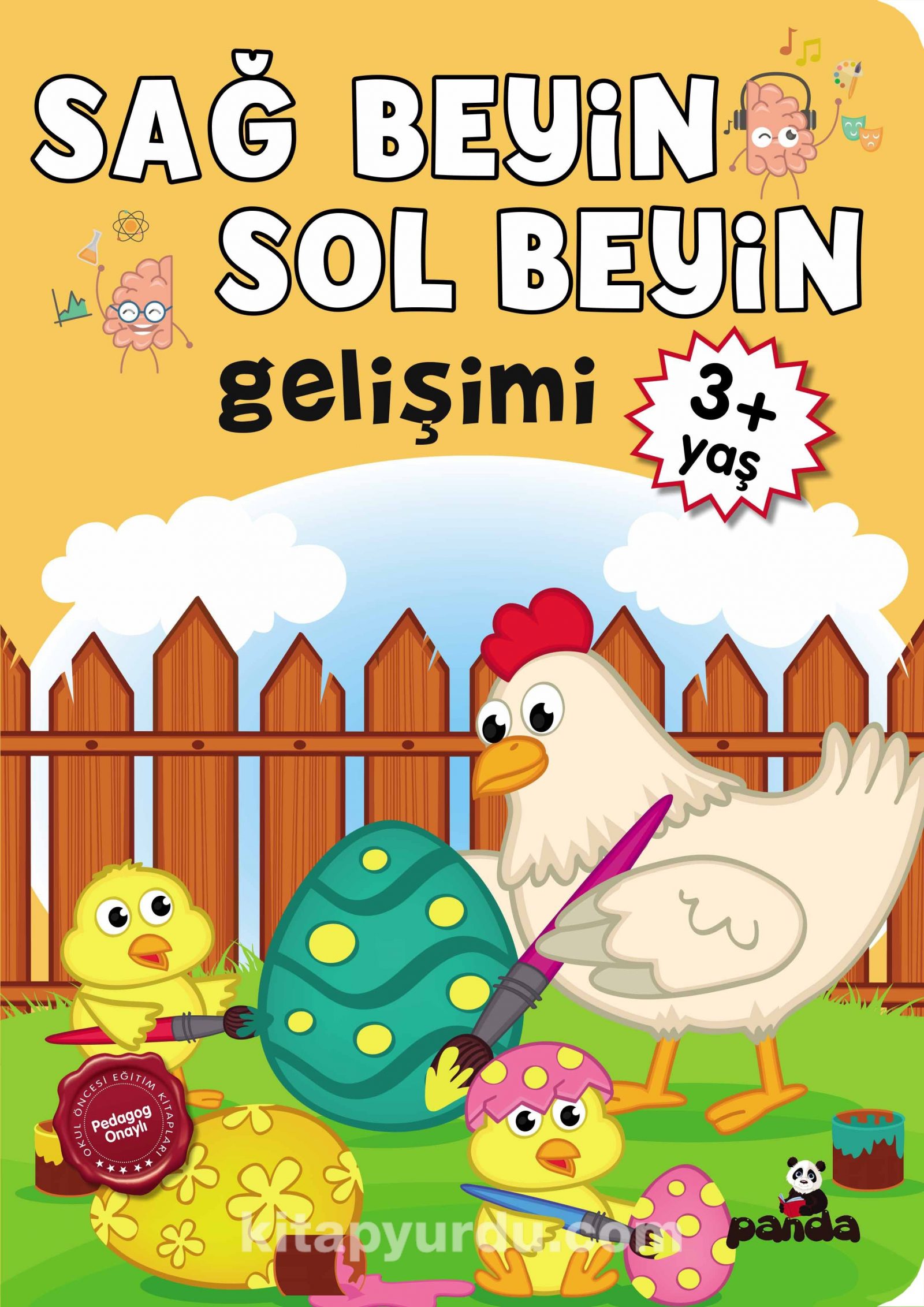 Sağ Beyin-Sol Beyin Gelişimi (3+ Yaş)