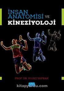 İnsan Anatomisi ve Kineziyoloji