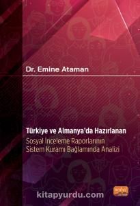 Türkiye ve Almanya’da Hazırlanan Sosyal İnceleme Raporlarının Sistem Kuramı Bağlamında Analizi