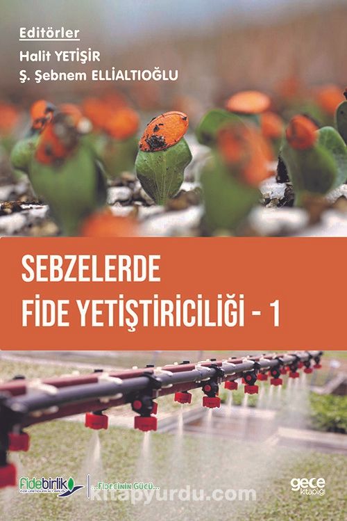 Sebzelerde Fide Yetiştiriciliği 1