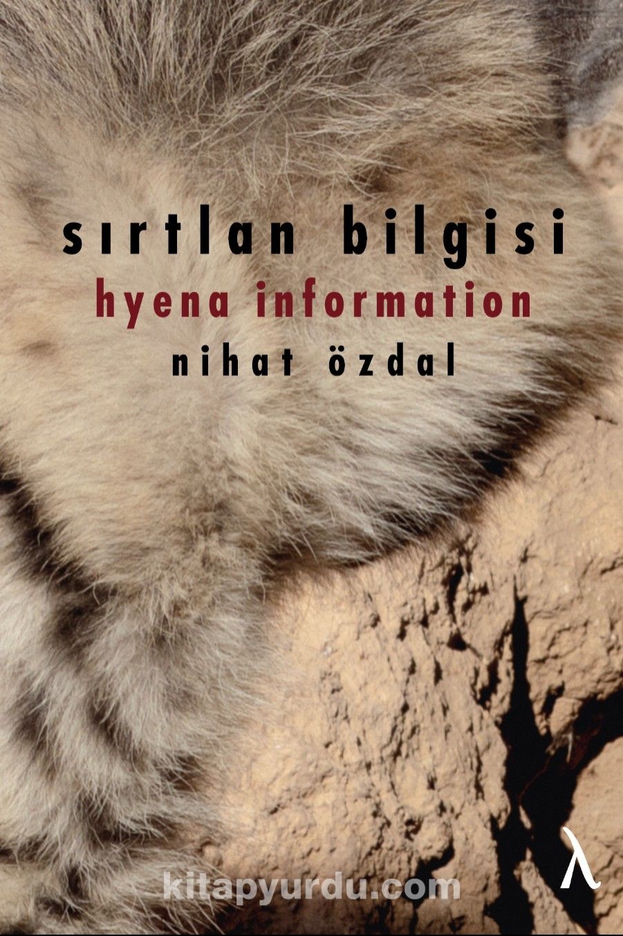 Sırtlan Bilgisi