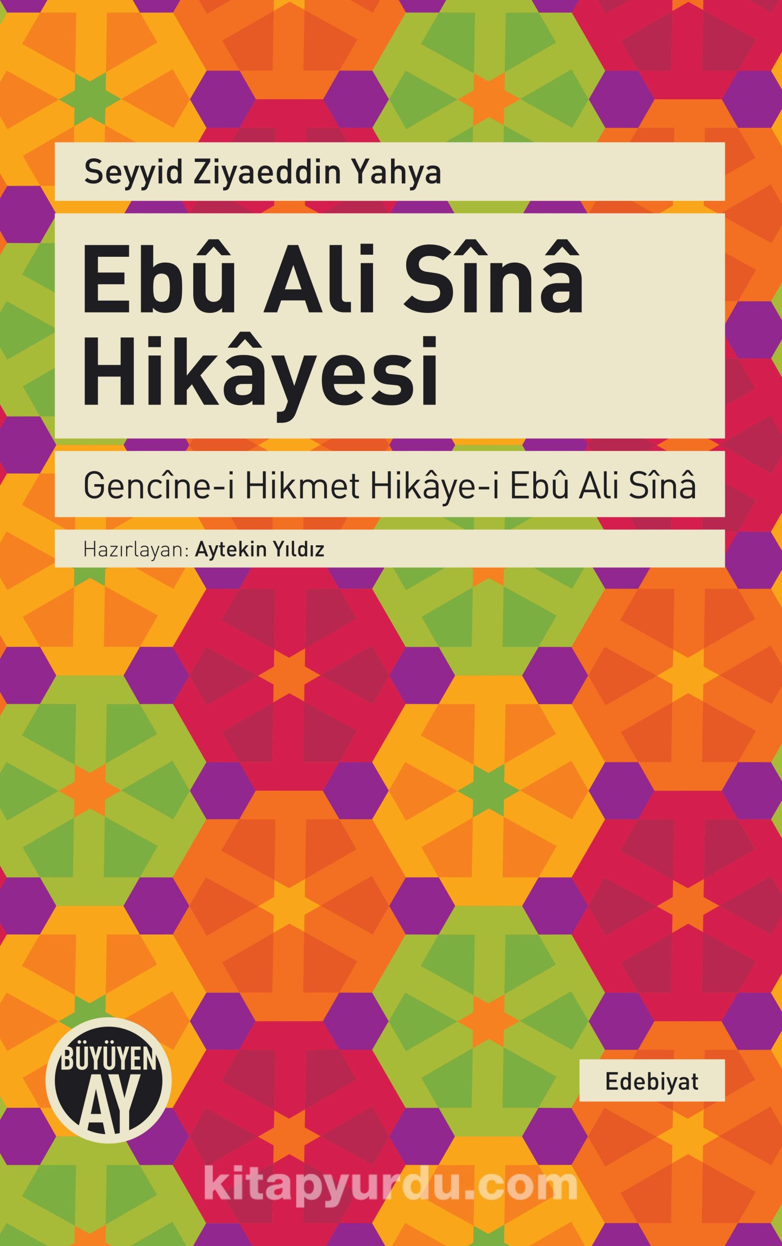 Ebu Ali Sina Hikayesi