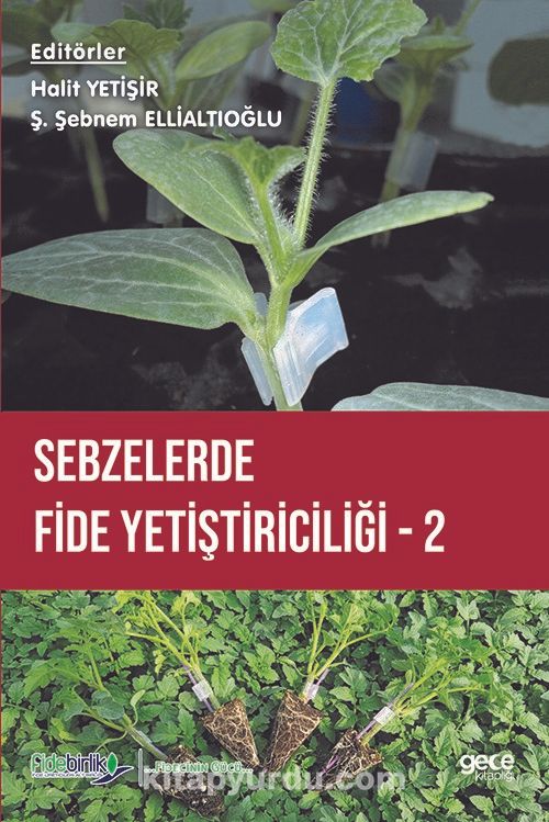 Sebzelerde Fide Yetiştiriciliği 2